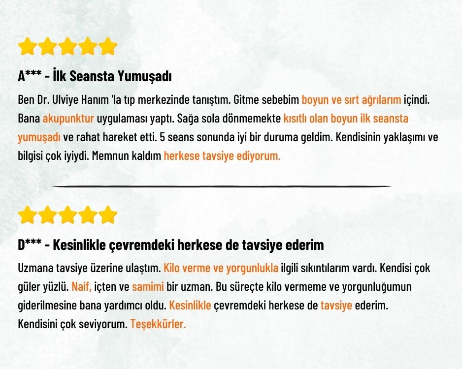 ulviye güvendi